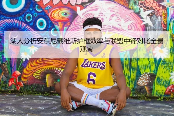 湖人分析安东尼戴维斯护框效率与联盟中锋对比全景观察